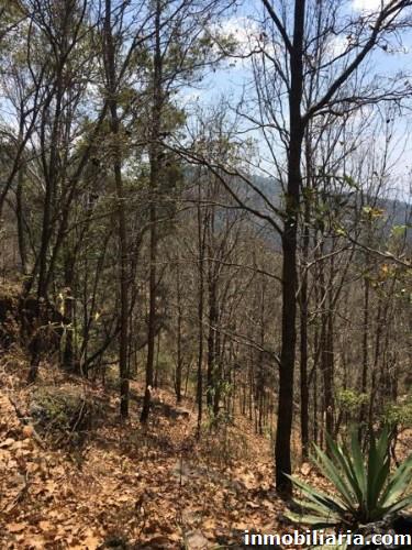 300.000 quetzal  Terreno Urbano en San Rafael Las Flores en Venta 