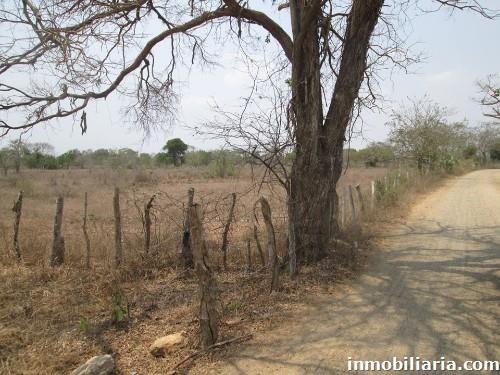 finca en sabanagrande en venta, ref 2531086