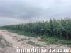 terreno rural en chiclayo en venta, ref 2622972