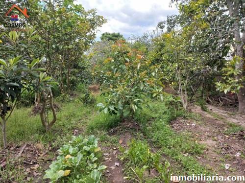 terreno rural en ibarra en venta, ref 2638139