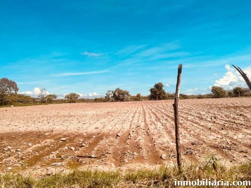 terreno rural en comayagua capital en venta, ref 2638637