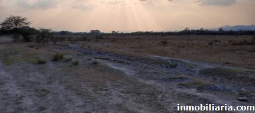 terreno rural en cedros en venta, ref 2638640