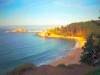 Algarrobo