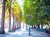 Curicó