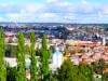 Osorno