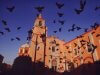 Querétaro